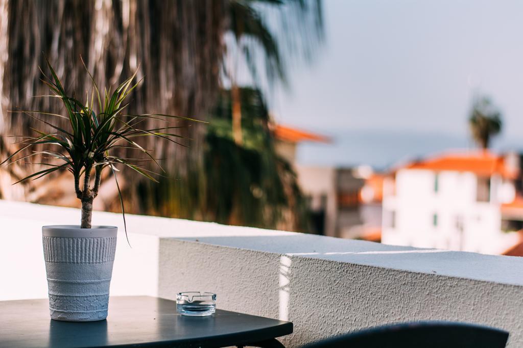 Arts In Apartments Pina Funchal  Zewnętrze zdjęcie